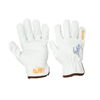 Martula Riggers Gloves CUT 5 6x Pack